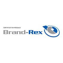 6-Brand-Rex